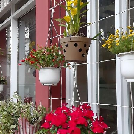 Homstay Thanh Son Chi Khu Co Ong エクステリア 写真