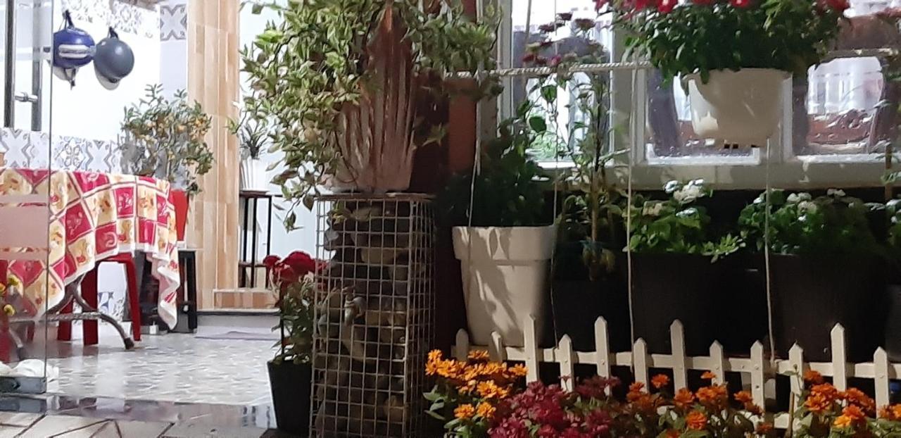 Homstay Thanh Son Chi Khu Co Ong エクステリア 写真