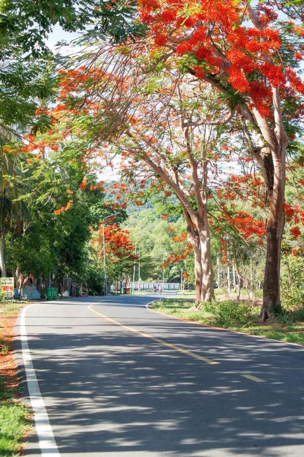 Homstay Thanh Son Chi Khu Co Ong エクステリア 写真